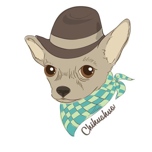 Hand drawn vector illustration of hipster dog for cards, t-shirt print, placard. Fashion portrait of chihuahua dog wearing hat and cravat.