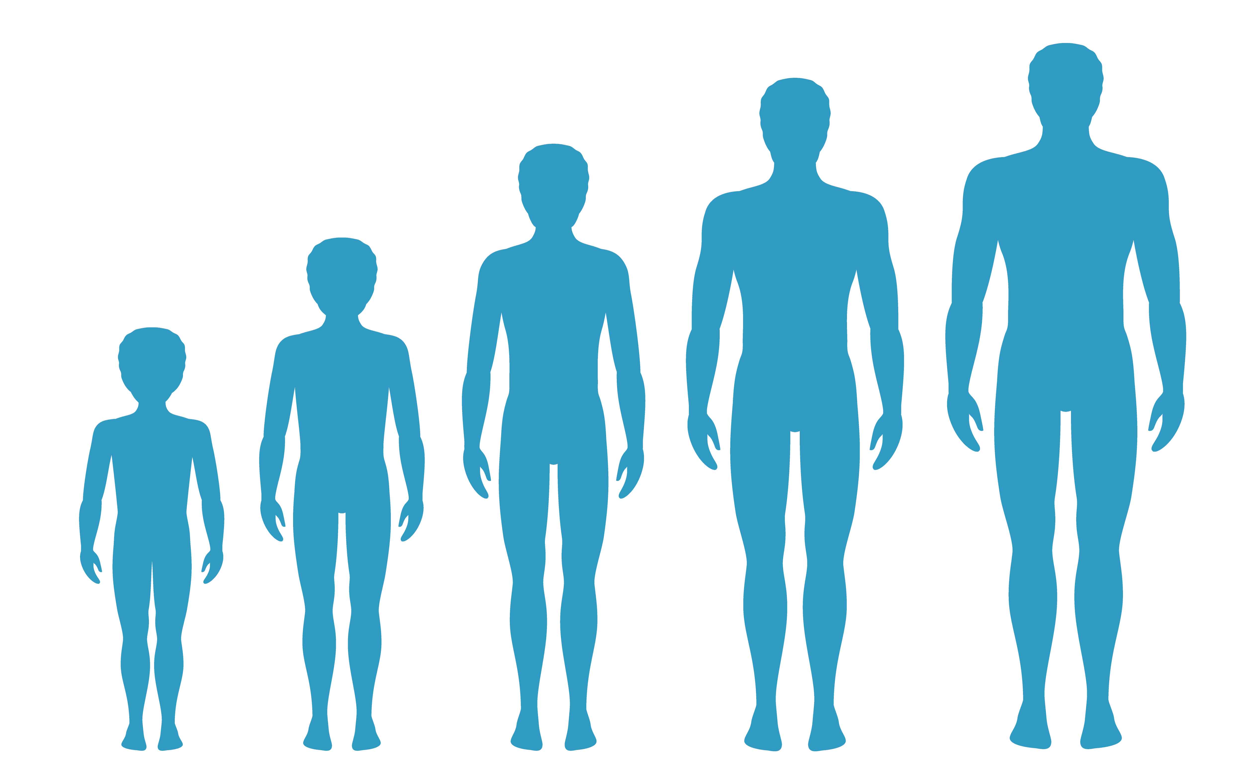 Man's body proportions changing with age. Boy's body growth stages