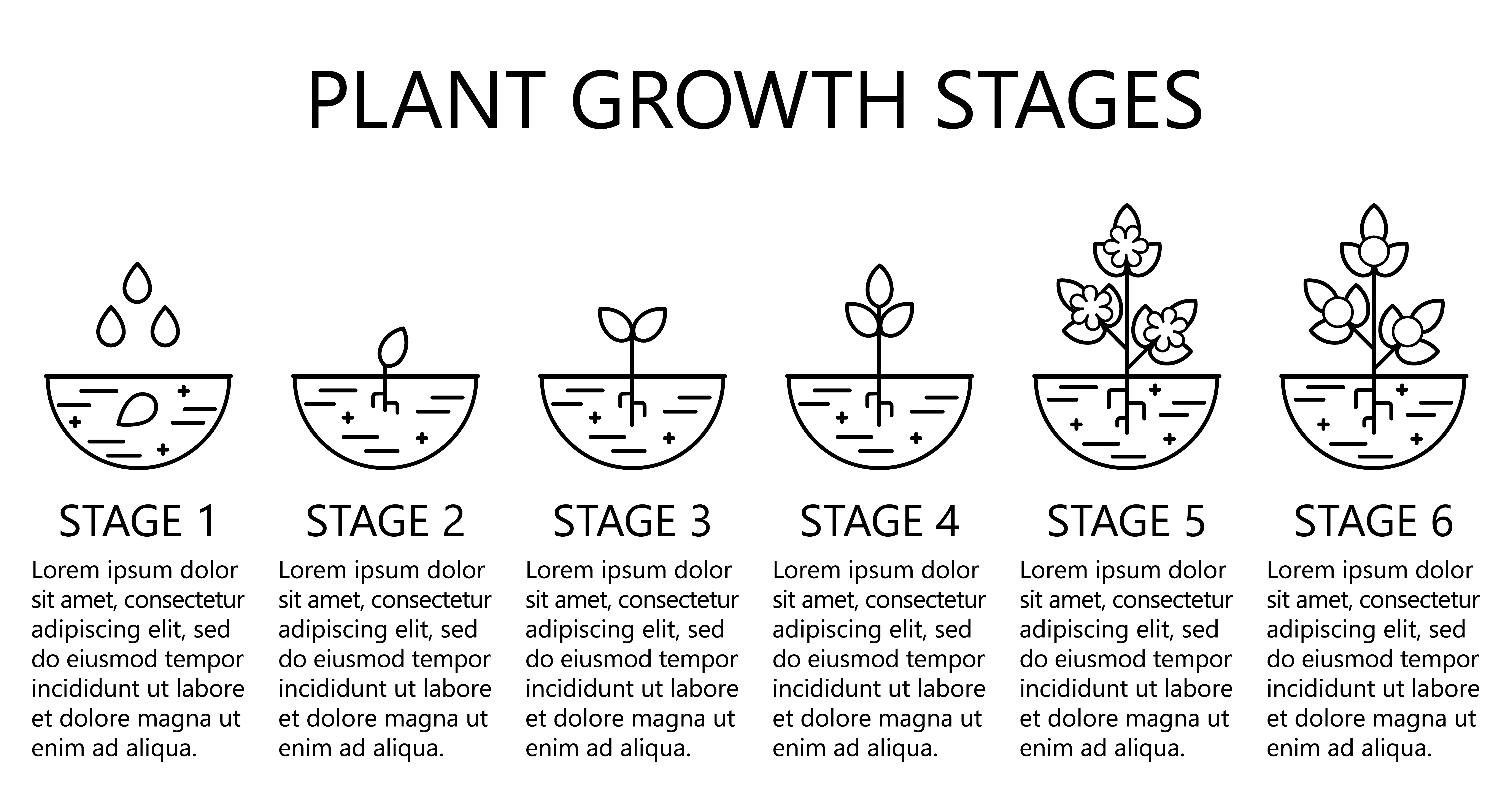 Plant growth stages. Plant detailed growth stages. Growth stages. Five stages of a business lifecycle. Rust стадии роста растений.