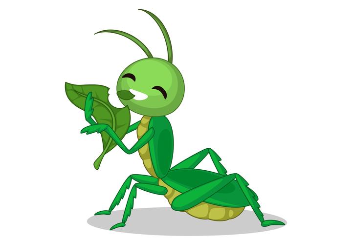 grasshopper eating leaf cartoon vector