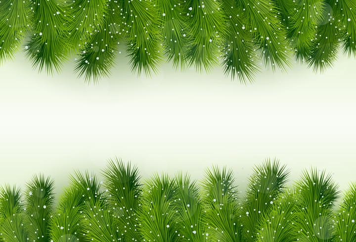 Christmas greeting with fir tree vector