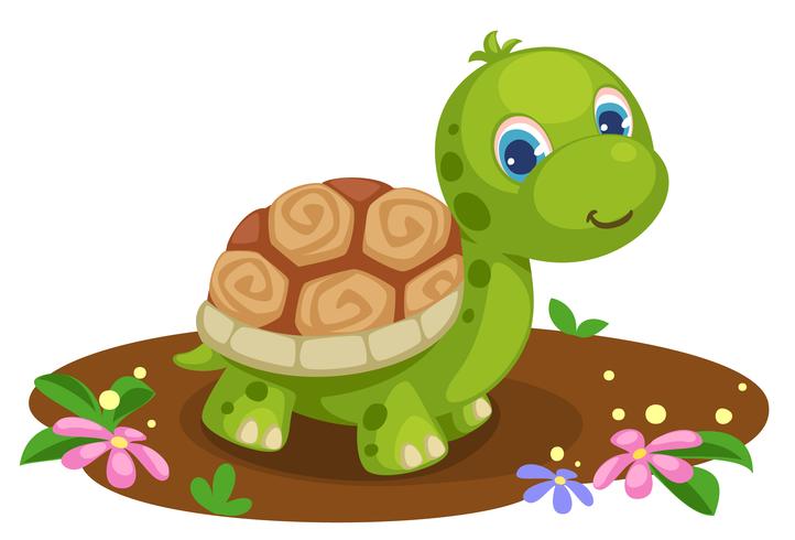 cute tortoise cartoon vector