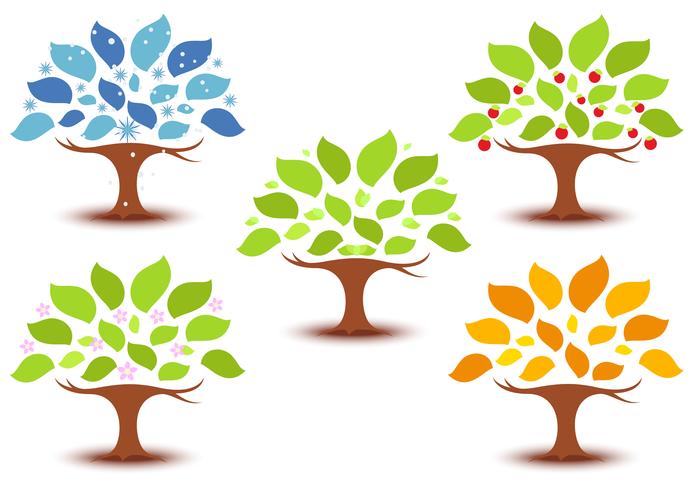 Set of trees in different seasons vector