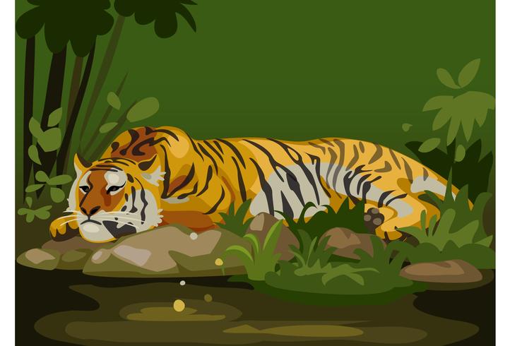 tiger in jungle 618920 Vector Art at Vecteezy tiger in jungle 618920 Vector Art at Vecteezy