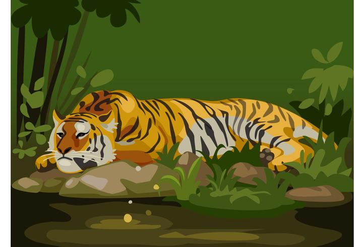 tiger in jungle vector