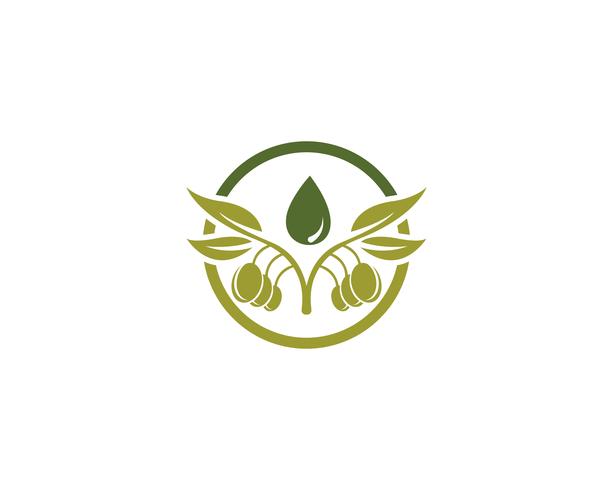 icono de vector de plantilla logo oliva