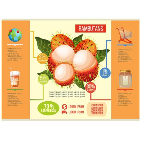 rambutans info graphic vector