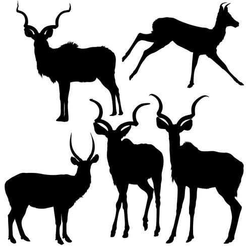 Five Silhouetted Antelope vector