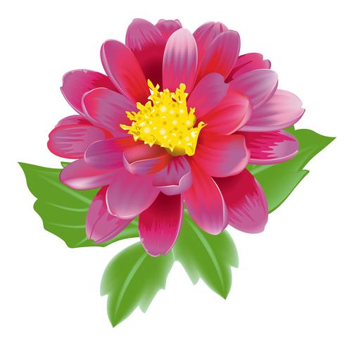 Beautiful Blooming Pink Exotic Flower vector