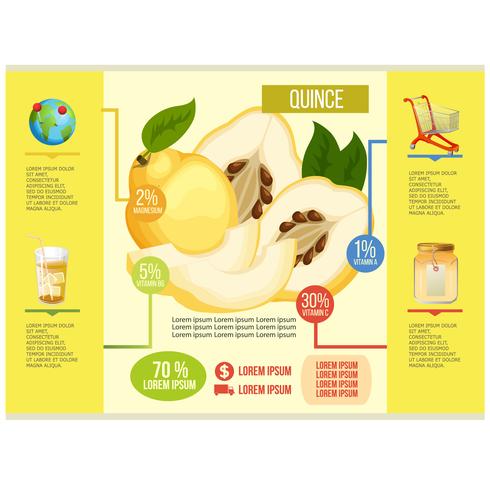 quince infographic vector