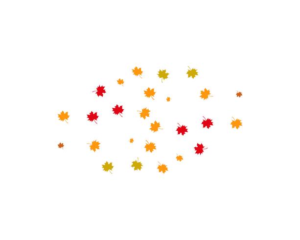 autumn Leaf vector illustration