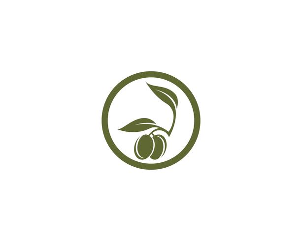 icono de vector de plantilla logo oliva