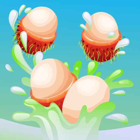 rambutans splash vector