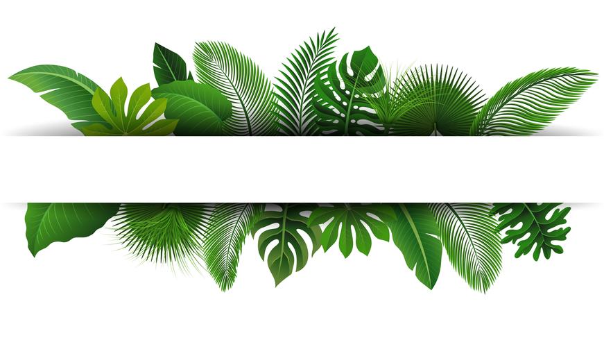 Sign with text space of Tropical Leaves. Suitable for nature concept, vacation, and summer holiday. Vector Illustration