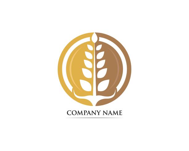 Wheat food logo vector template