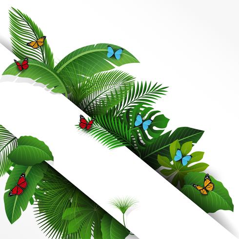 Firmar con el espacio de texto de hojas tropicales y mariposas. Adecuado para el concepto de naturaleza, vacaciones y vacaciones de verano. Ilustración vectorial vector