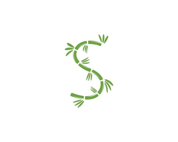 Bamboo logo with green leaf for your icon vector template