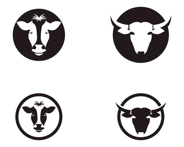 Cow head symbols and  logo vector template