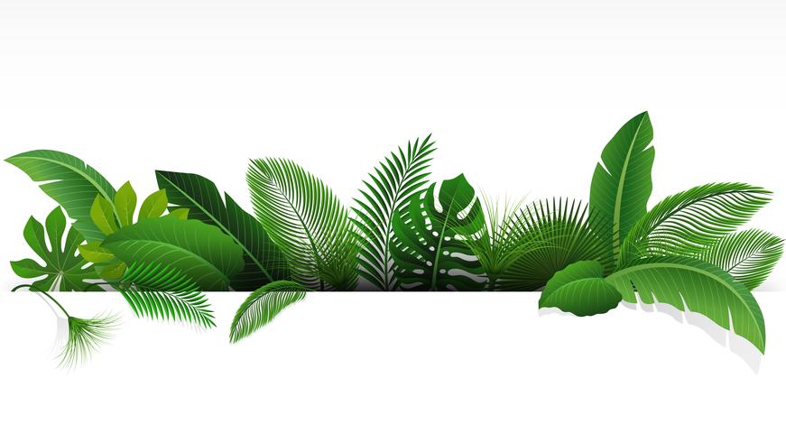 Sign with text space of Tropical Leaves. Suitable for nature concept, vacation, and summer holiday. Vector Illustration