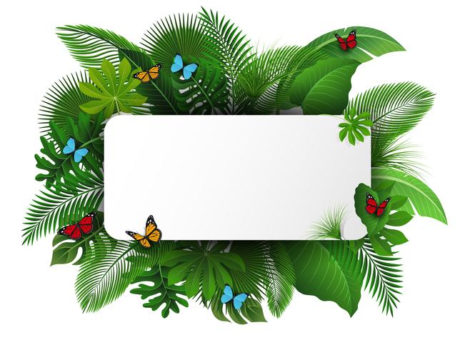 Firmar con el espacio de texto de hojas tropicales y mariposas. Adecuado para el concepto de naturaleza, vacaciones y vacaciones de verano. Ilustración vectorial vector