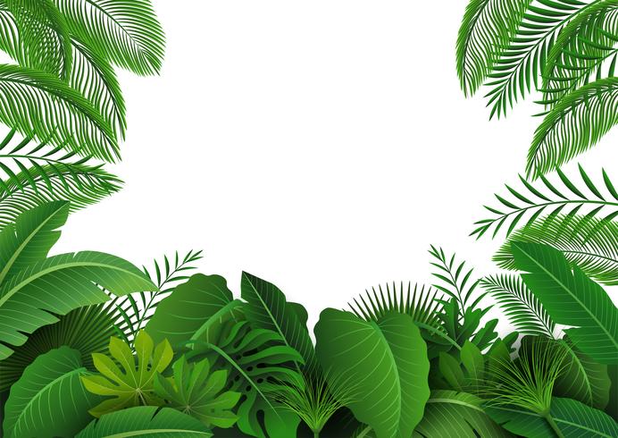 Fondo De Hojas Tropicales. Adecuado para el concepto de naturaleza, vacaciones y vacaciones de verano. Ilustración vectorial vector