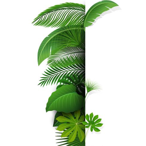 Firmar con el espacio de texto de hojas tropicales. Adecuado para el concepto de naturaleza, vacaciones y vacaciones de verano. Ilustración vectorial vector