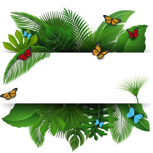 Firmar con el espacio de texto de hojas tropicales y mariposas. Adecuado para el concepto de naturaleza, vacaciones y vacaciones de verano. Ilustración vectorial vector