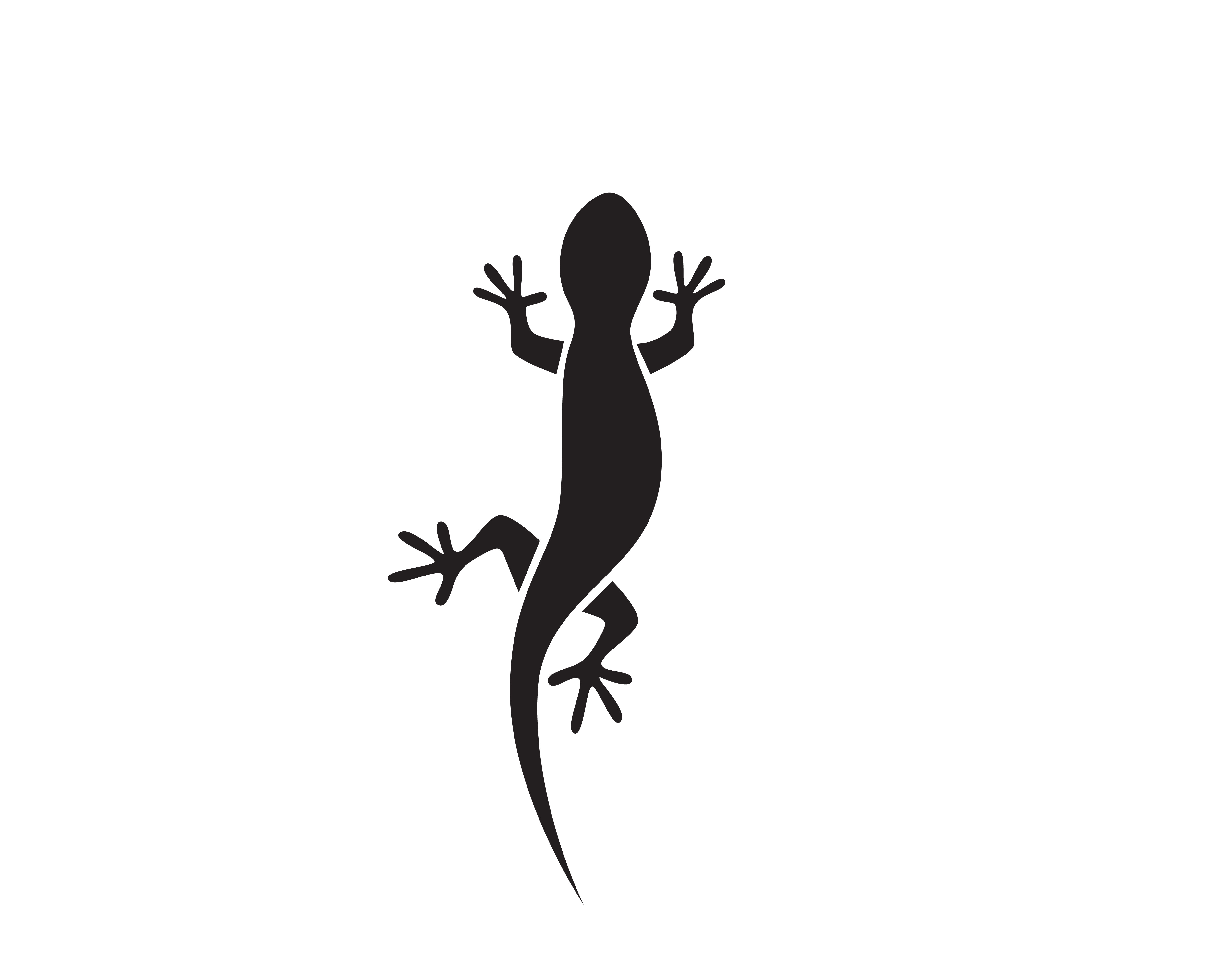 Lizard Chameleon Gecko Silhouette black vector 620104 Vector Art at