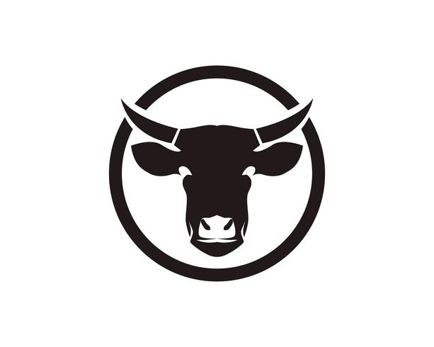 Cow head symbols and  logo vector template