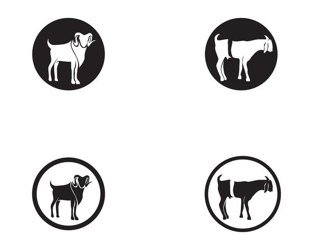 Plantilla de logotipo y símbolos de vectores de animales de cabra negra