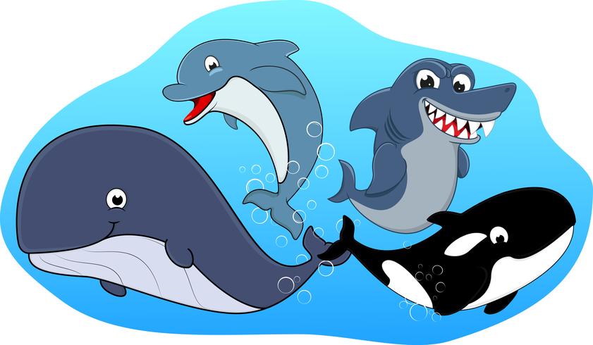 Sea Mammal set vector