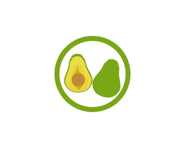 avocado vector template logo