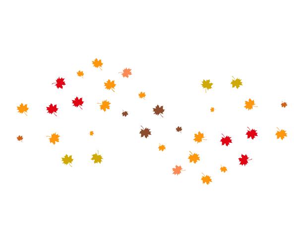 autumn Leaf vector illustration
