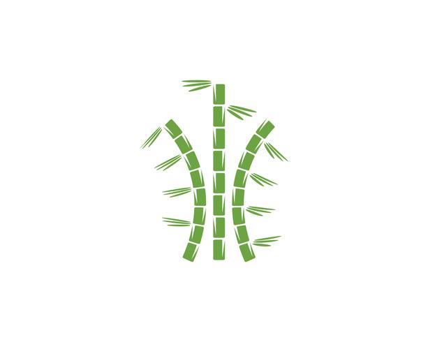 Bamboo logo with green leaf for your icon vector template