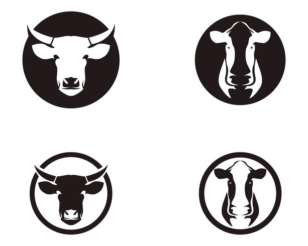 Cow head symbols and  logo vector template