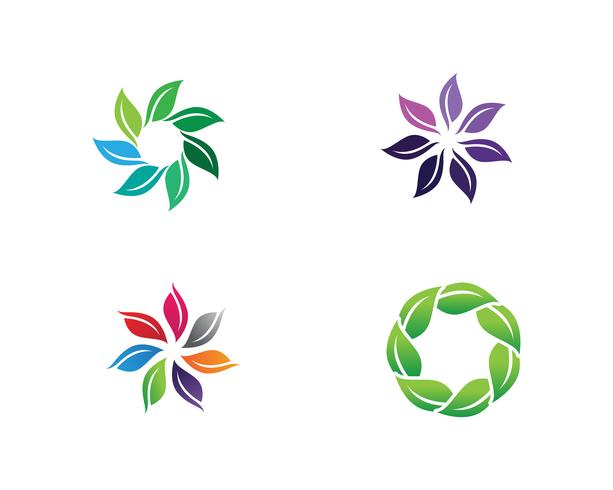 Patrones florales logo y símbolos fondo blanco vector