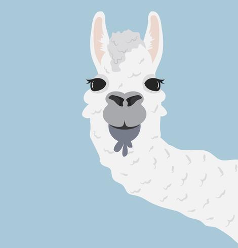 Llama cabeza feliz ilustración vectorial vector