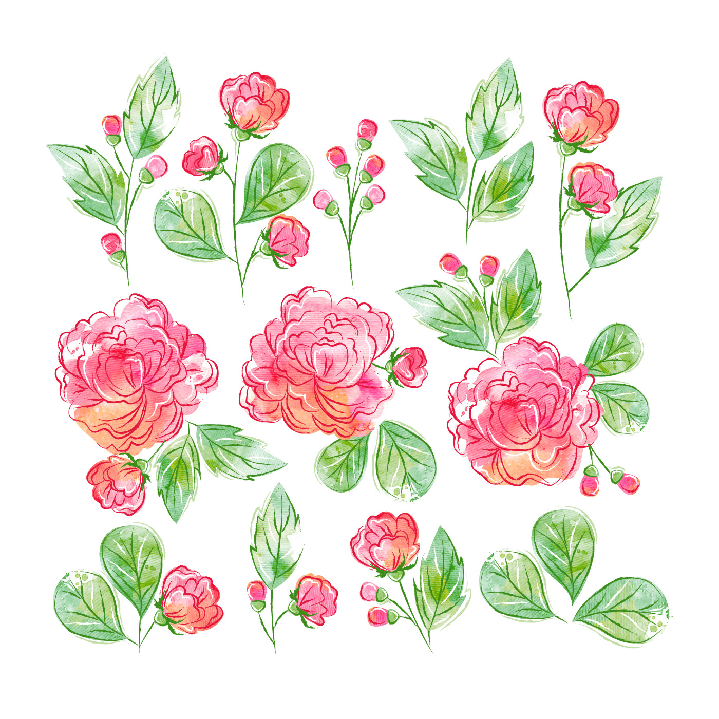 Download Watercolor Floral Set - Download Free Vectors, Clipart ...