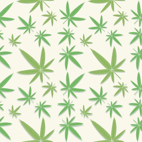 Patrón de hojas de cannabis verde. vector