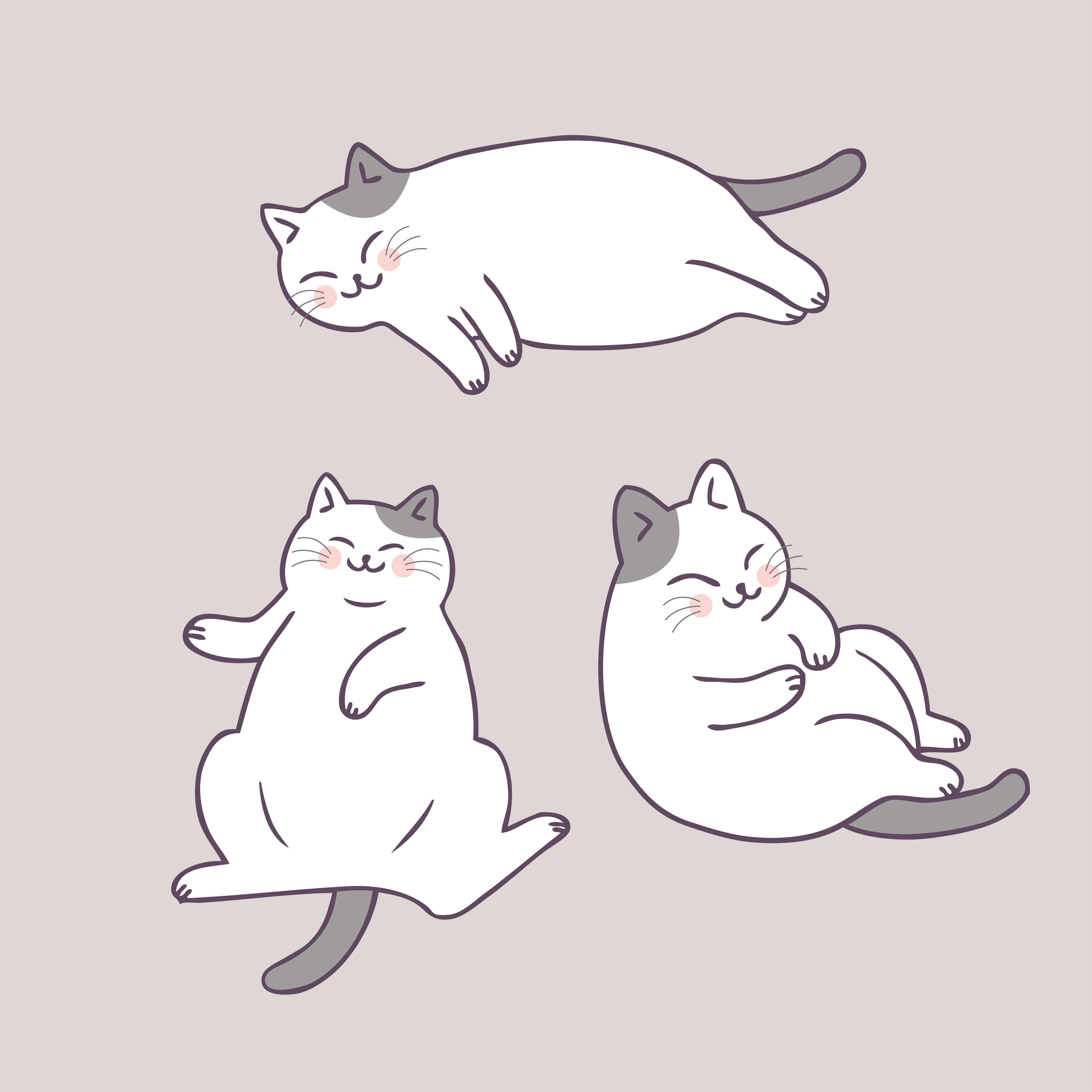 Cat Sleeping Drawing