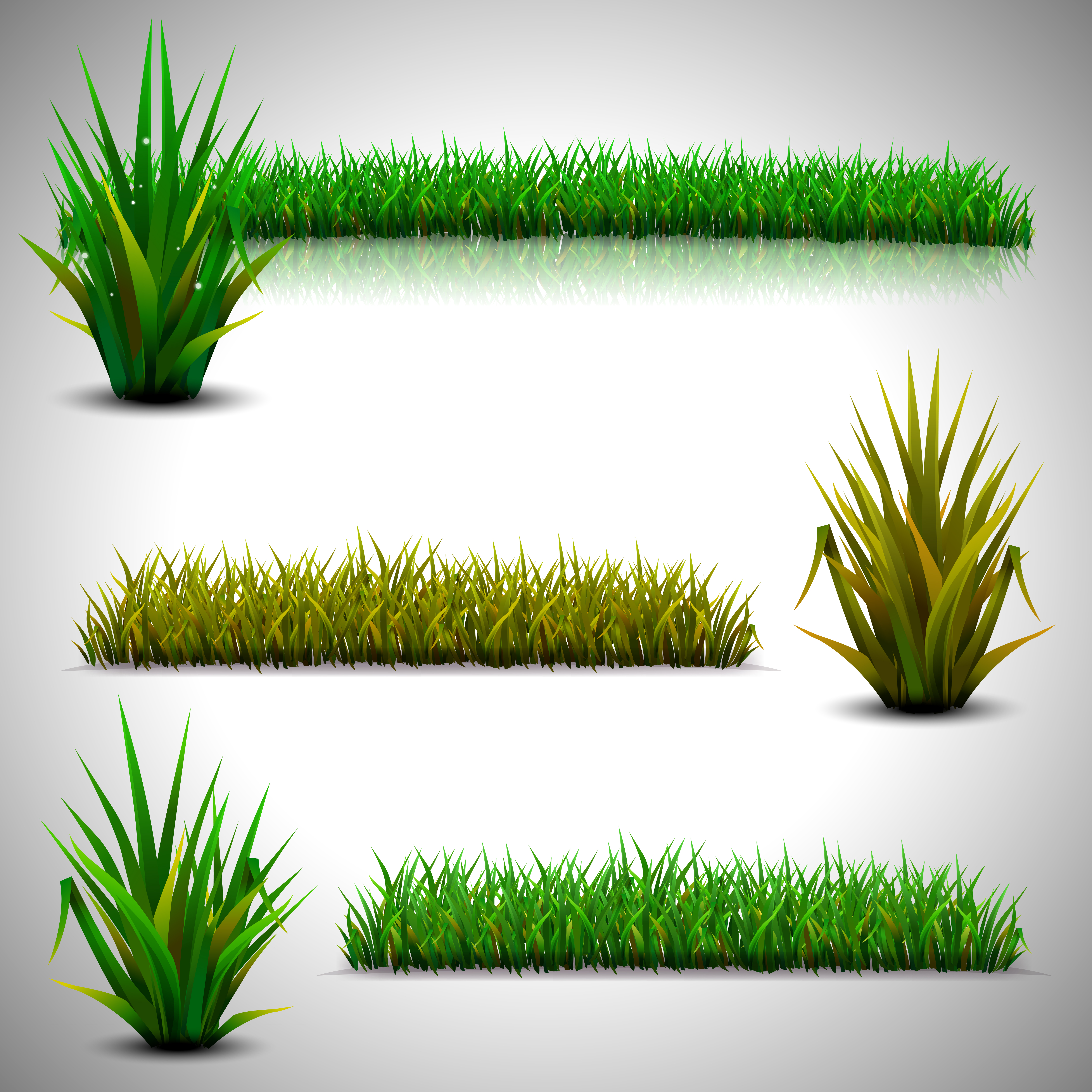 Download Green grass isolated - Download Free Vectors, Clipart Graphics & Vector Art