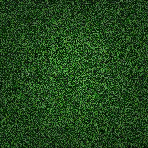 Green grass background vector