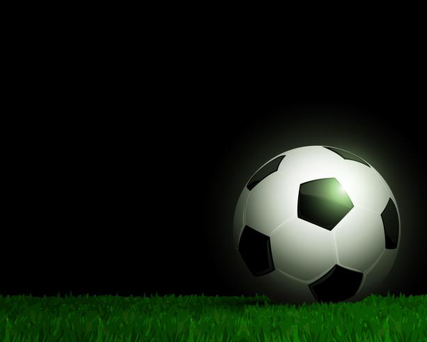 soccer ball on grass close up vector