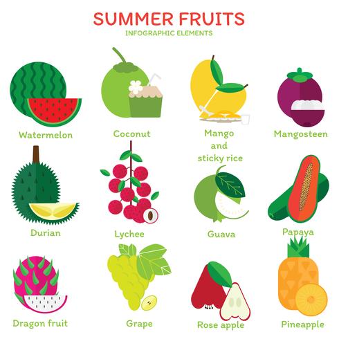 Elementos de frutas de verano vector