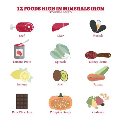 Minerals iron infographic vector