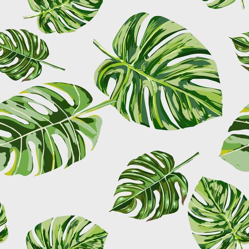 Hand drawn tropical leaf seamless pattern vector