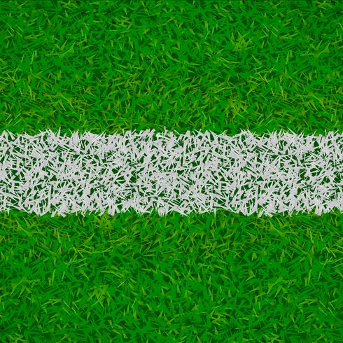 soccer grass background vector