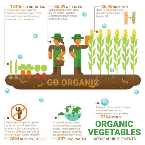 healthy food organic vegetables vector