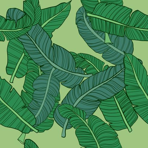 Hand drawn tropical seamless pattern vector