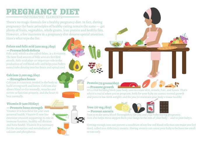 pregnancy diet infographic vector